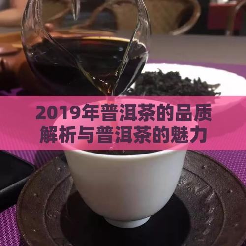 2019的普洱茶怎么样
