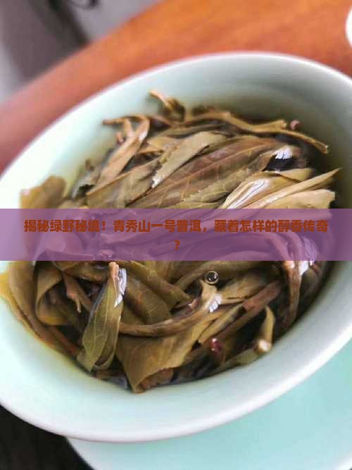 绿野茶业青秀山一号普洱茶