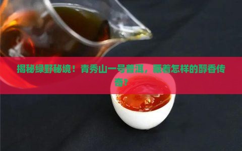 绿野茶业青秀山一号普洱茶