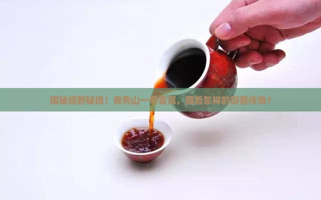 绿野茶业青秀山一号普洱茶