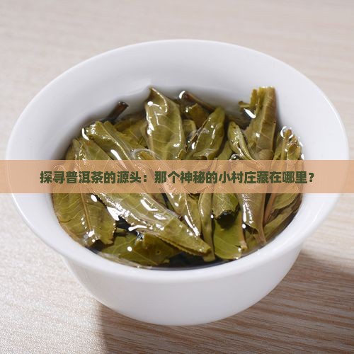 普洱茶地在哪里