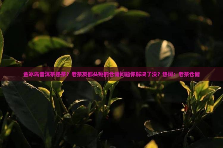 金冰岛普洱茶熟茶