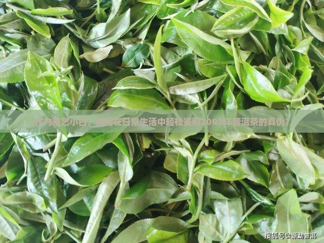 普洱茶执行标准2008