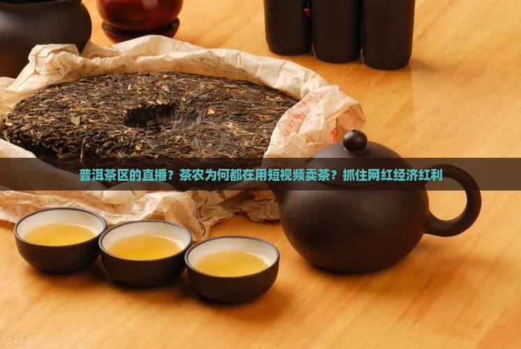 普洱茶区的直播