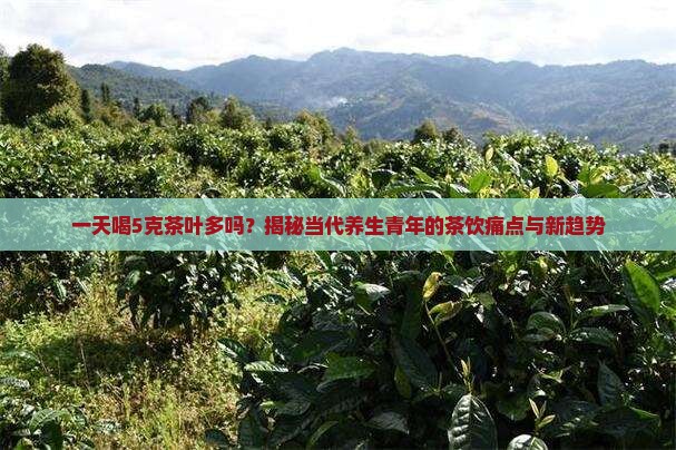 一天喝5克茶叶多吗