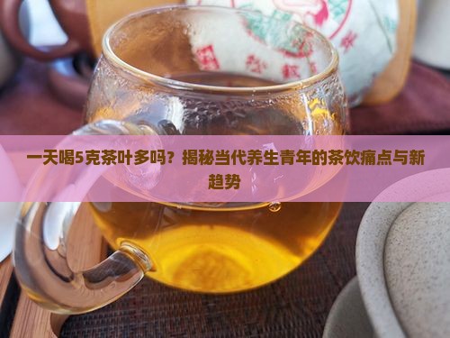 一天喝5克茶叶多吗