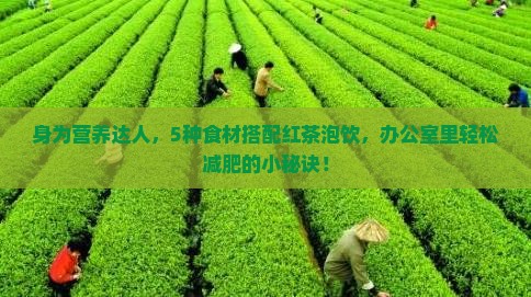 红茶可以和什么一起泡减肥
