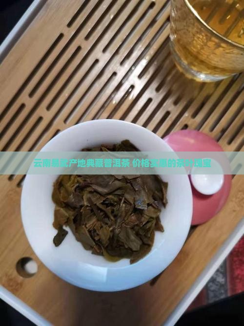 云南普洱茶易武典藏茶