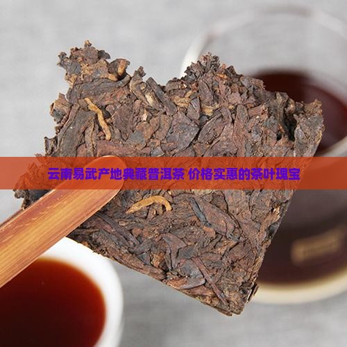 云南普洱茶易武典藏茶