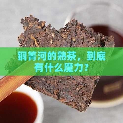 铜箐河普洱茶熟茶的特点