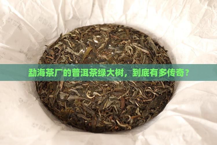 勐海茶厂普洱茶绿大树