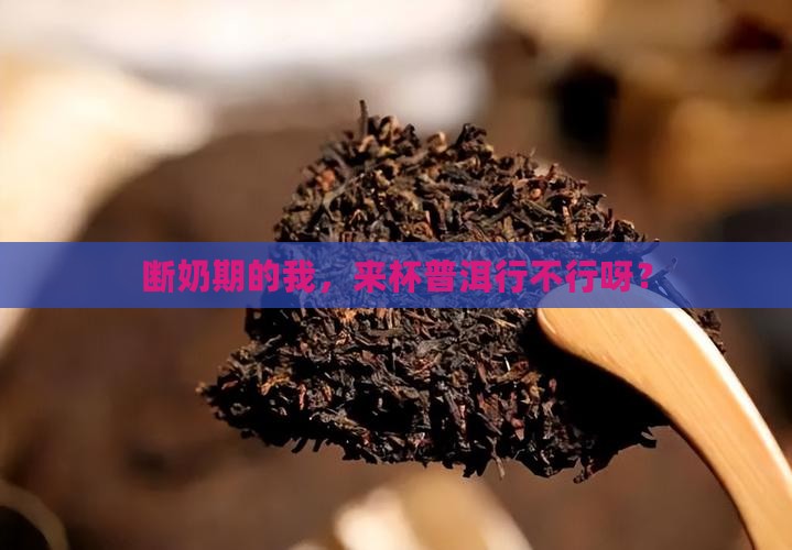 戒奶可以喝普洱茶吗