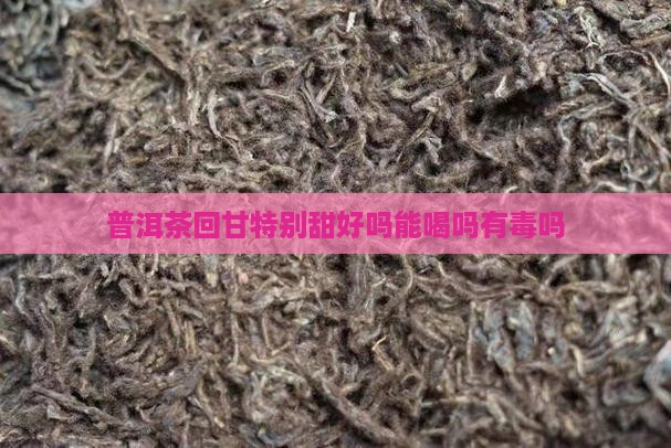 普洱茶回甘特别甜好吗能喝吗