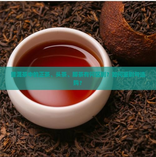 普洱茶何为正茶头茶脚茶