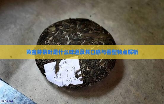 黄金芽茶叶是什么味道