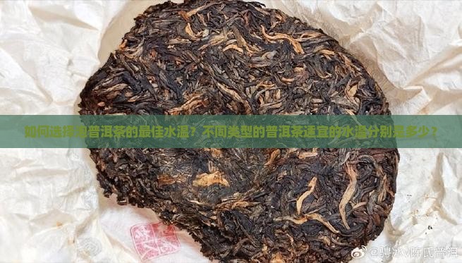 泡普洱茶的水温