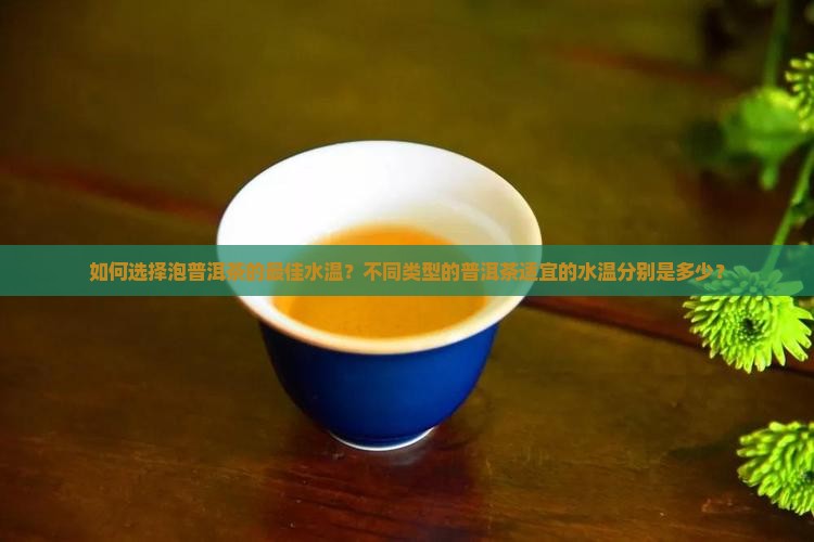 泡普洱茶的水温