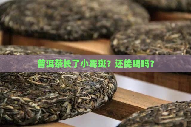 普洱茶表面有一点霉