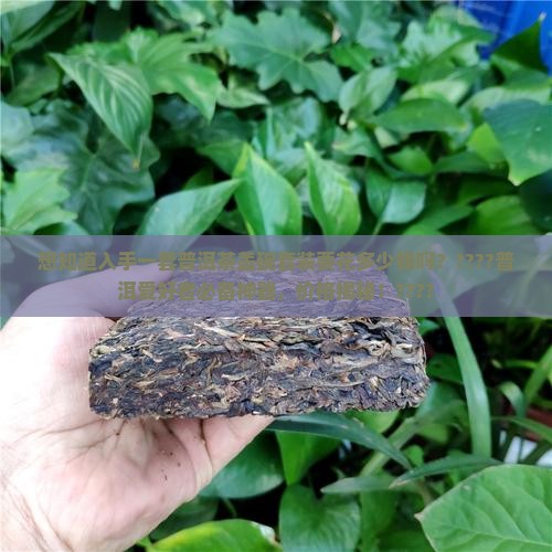 普洱茶盖碗套装多少钱一套 普洱茶盖碗套装多少钱一套