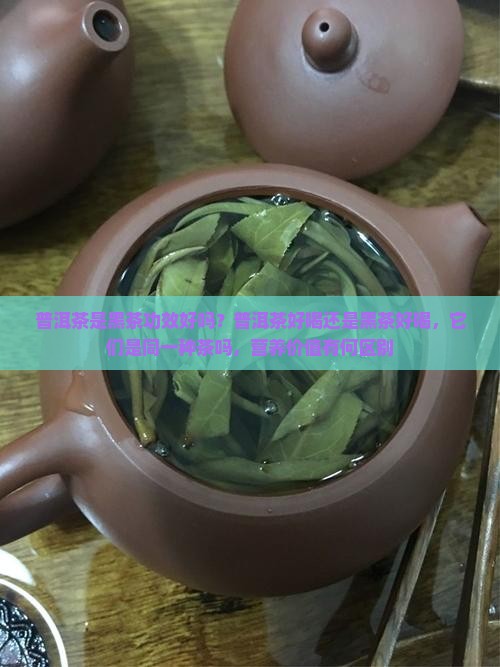 普洱茶是黑茶功效好吗