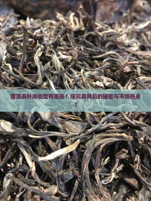 普洱茶的叶序的类型