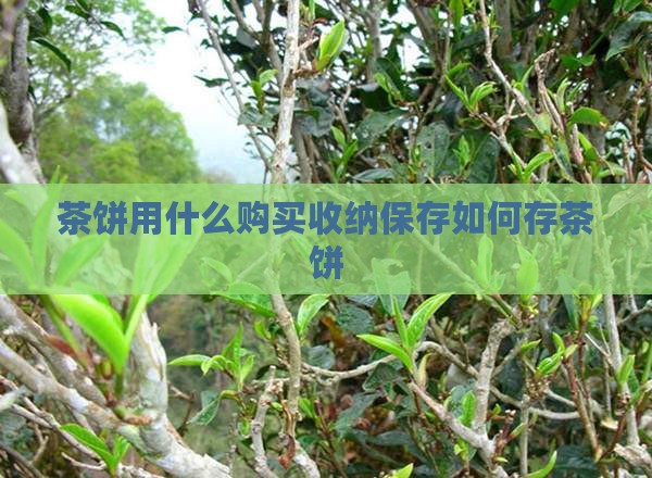 茶饼用什么购买纳保存如何存茶饼