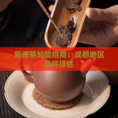 成都普洱茶招商条件如何