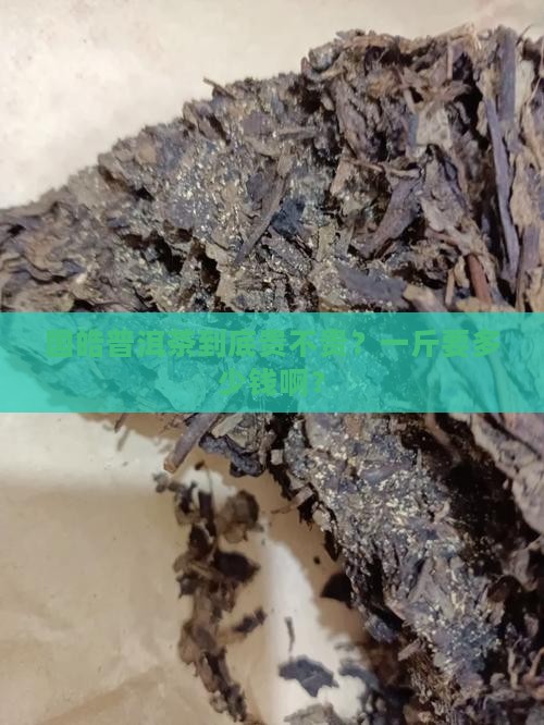 国皓普洱茶多少钱一斤