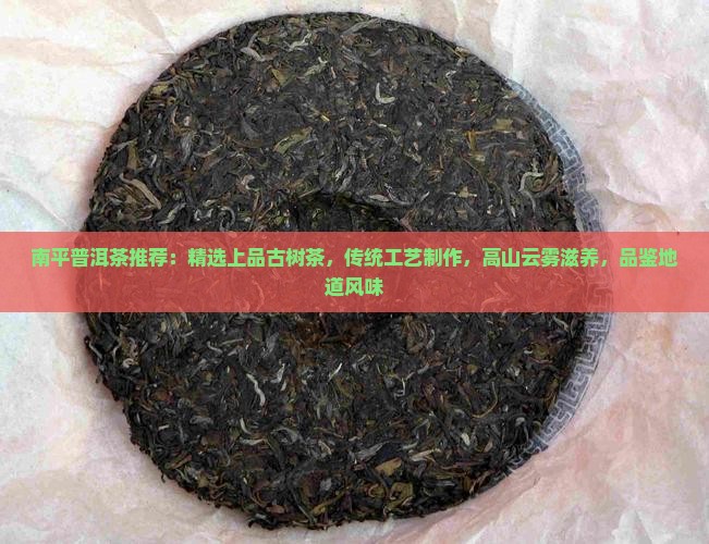 南平普洱茶推荐