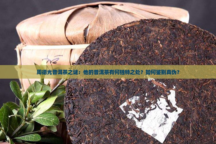 普洱茶怪周德光