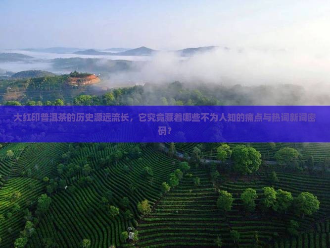 大红印普洱茶历史