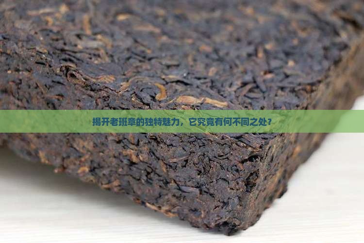 为什么要选择老班章