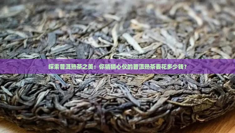 普洱茶购买购普洱熟茶大概价格