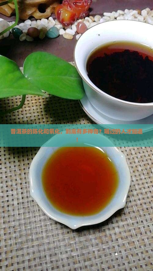 普洱茶的陈化和氧化