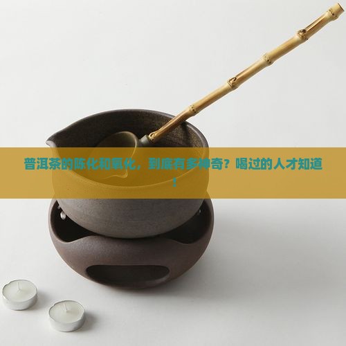 普洱茶的陈化和氧化
