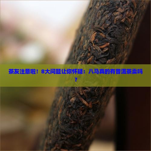 八马有普洱茶吗