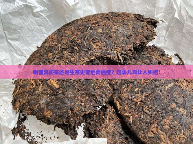 癌症是喝普洱熟茶还是生茶