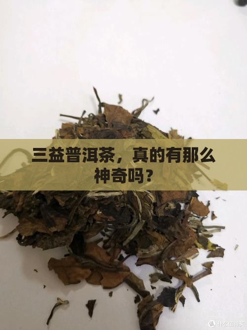 三益普洱茶的功效