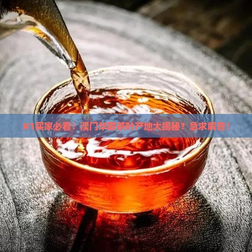 澳门华联茶叶是哪里的茶叶