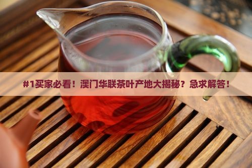 澳门华联茶叶是哪里的茶叶