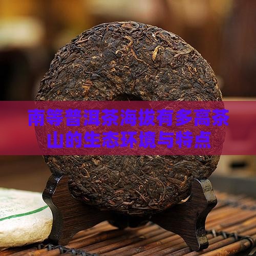 南等普洱茶海拨有多高