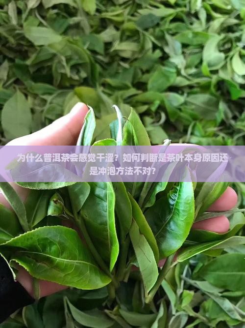 普洱茶干涩的原因