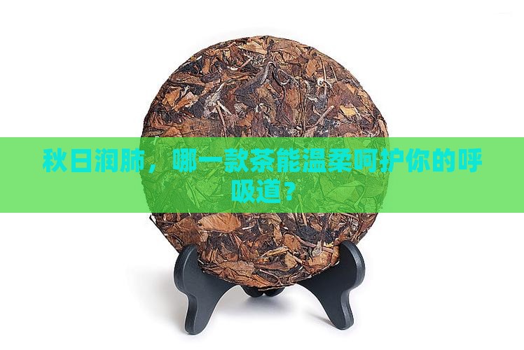 润肺喝什么茶好