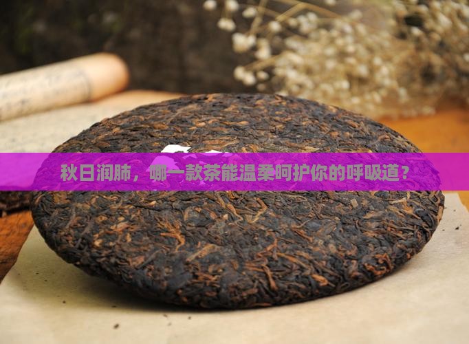 润肺喝什么茶好