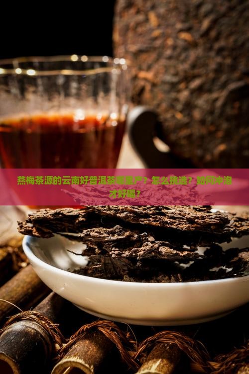 燕梅茶源云南好普洱茶