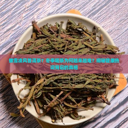 傲雪凌风普洱茶