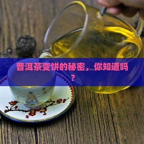 普洱茶如何做成饼状