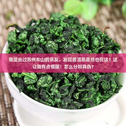 苏州东山普洱茶产地