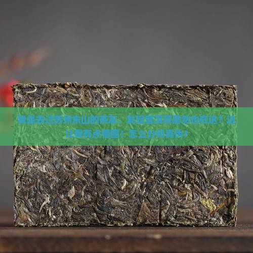 苏州东山普洱茶产地