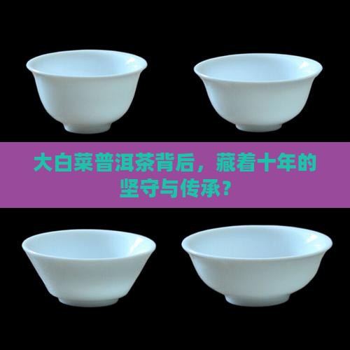 10年大白菜普洱茶的由来